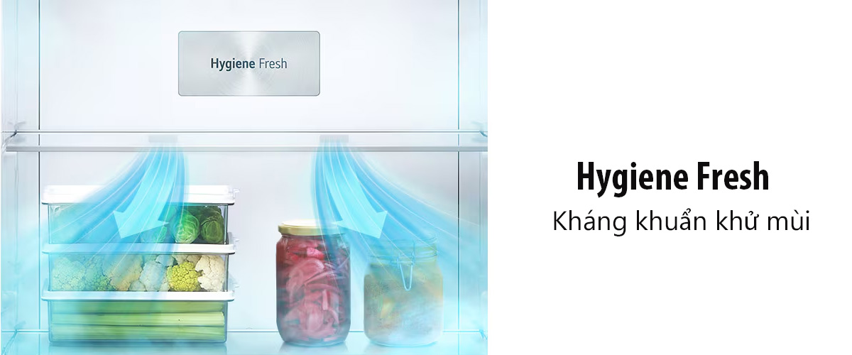 Hygiene Fresh+ kháng khuẩn khử mùi