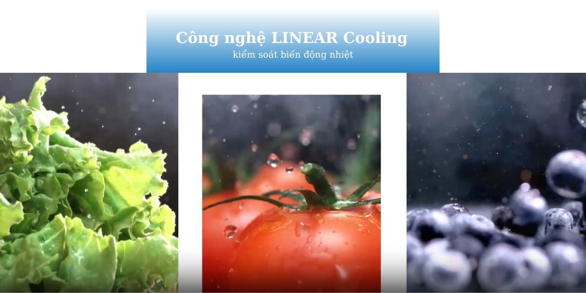 LINEAR Cooling kiểm soát biến động nhiệt