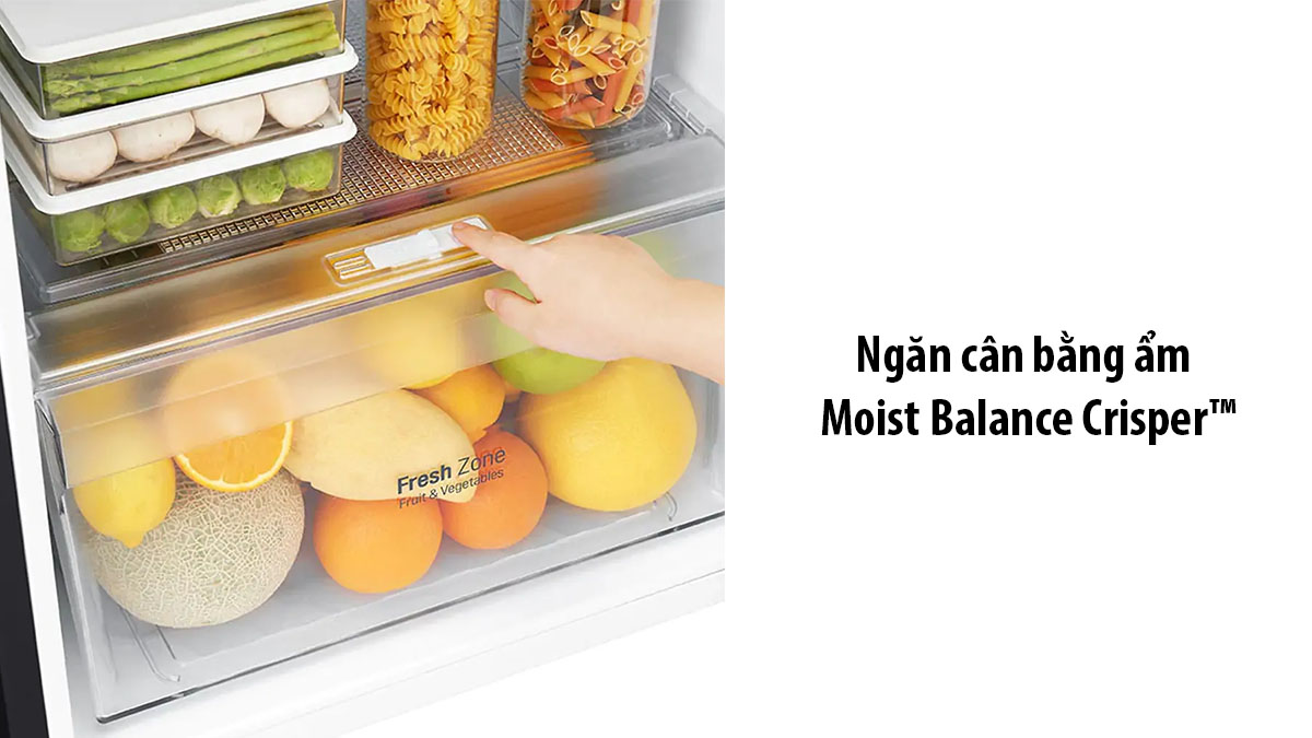 Ngăn cân bằng ẩm Moist Balance Crisper™