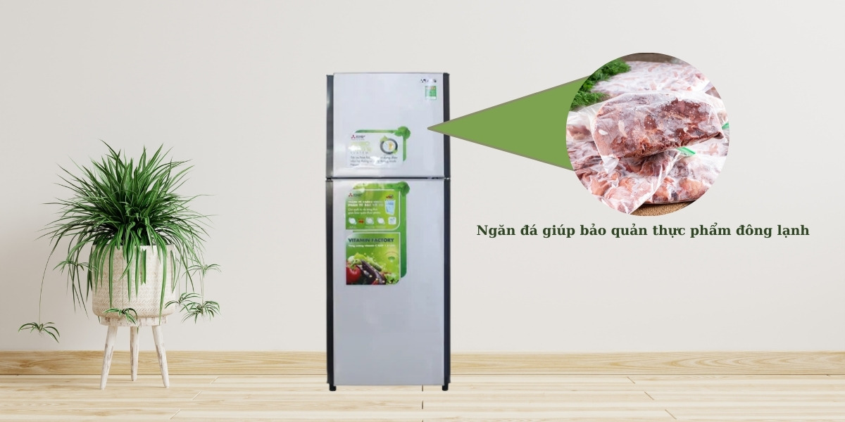 Ngăn đá giúp bảo quản thực phẩm đông lạnh