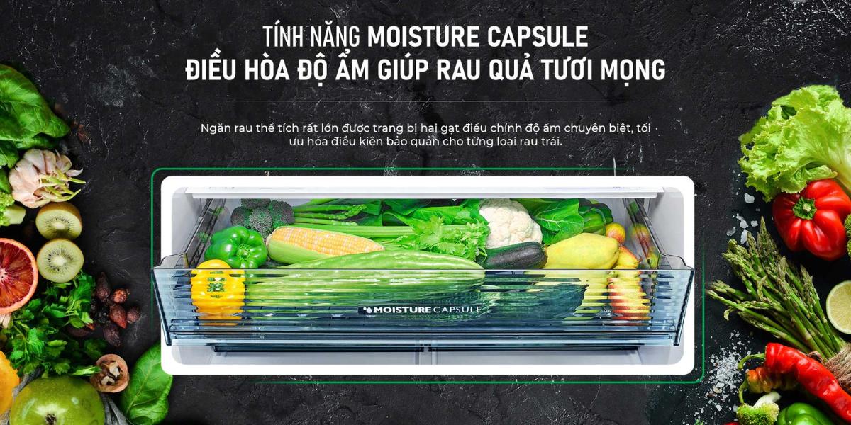 Ngăn giữ ẩm Moisture Capsule