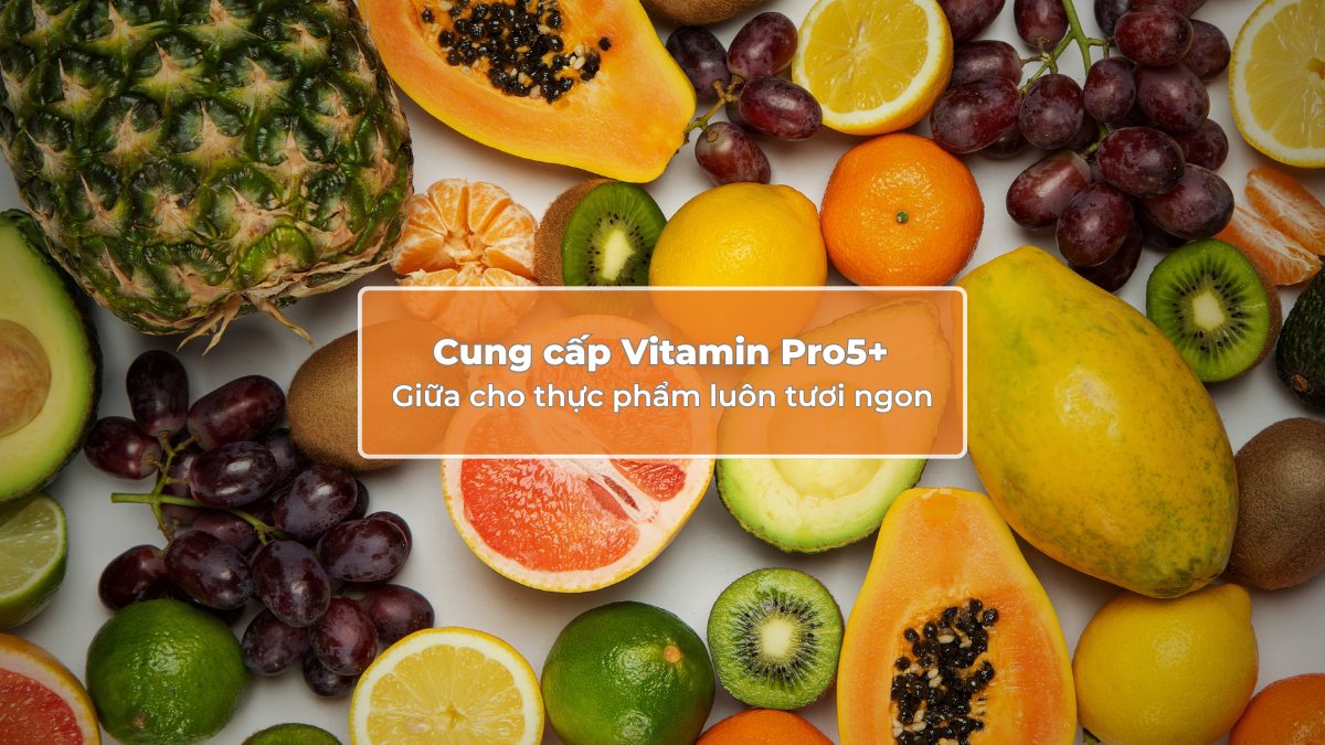 Tính năng cung cấp Vitamin Pro5+ giúp thực phẩm luôn tươi ngon