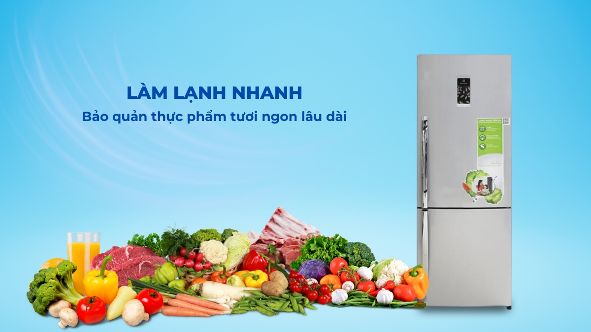 Việc làm lạnh nhanh sẽ giúp cho thực phẩm tươi ngon lâu dài hơn