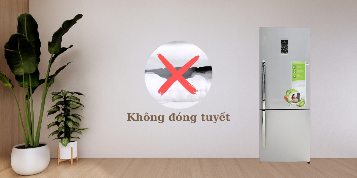 Tủ lạnh không đóng tuyết giúp duy trì nhiệt độ lý tưởng