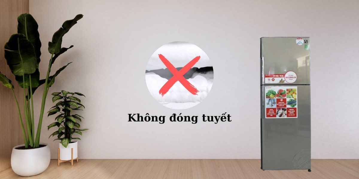 Tủ lạnh không đóng tuyết