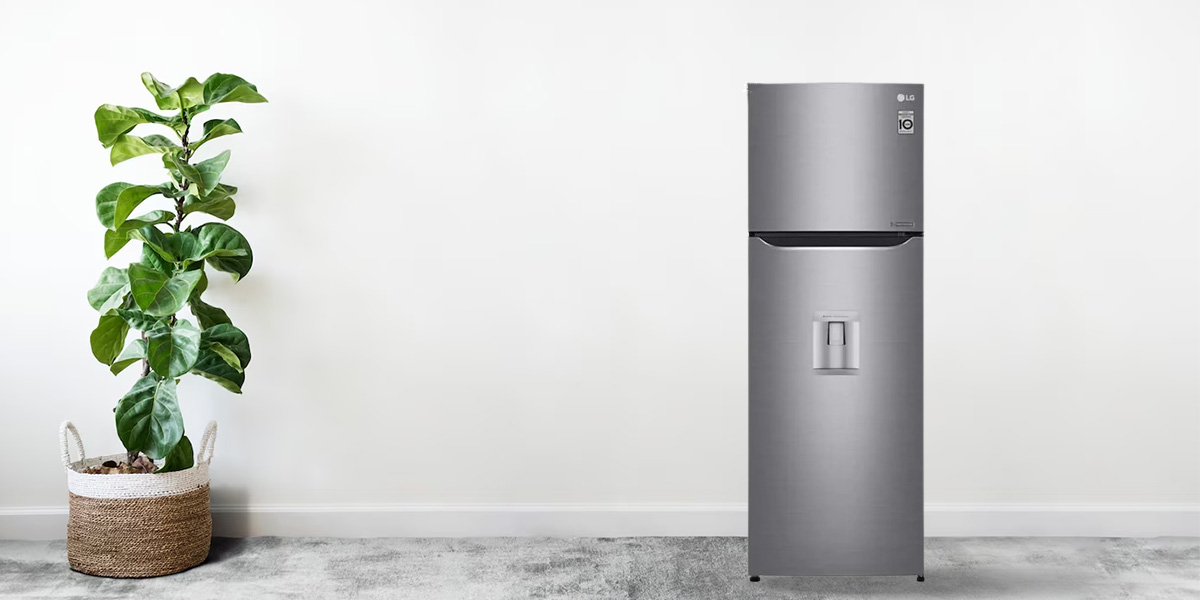 Tủ Lạnh LG Inverter 333 Lít GN-D315S có thiết kế hiện đại
