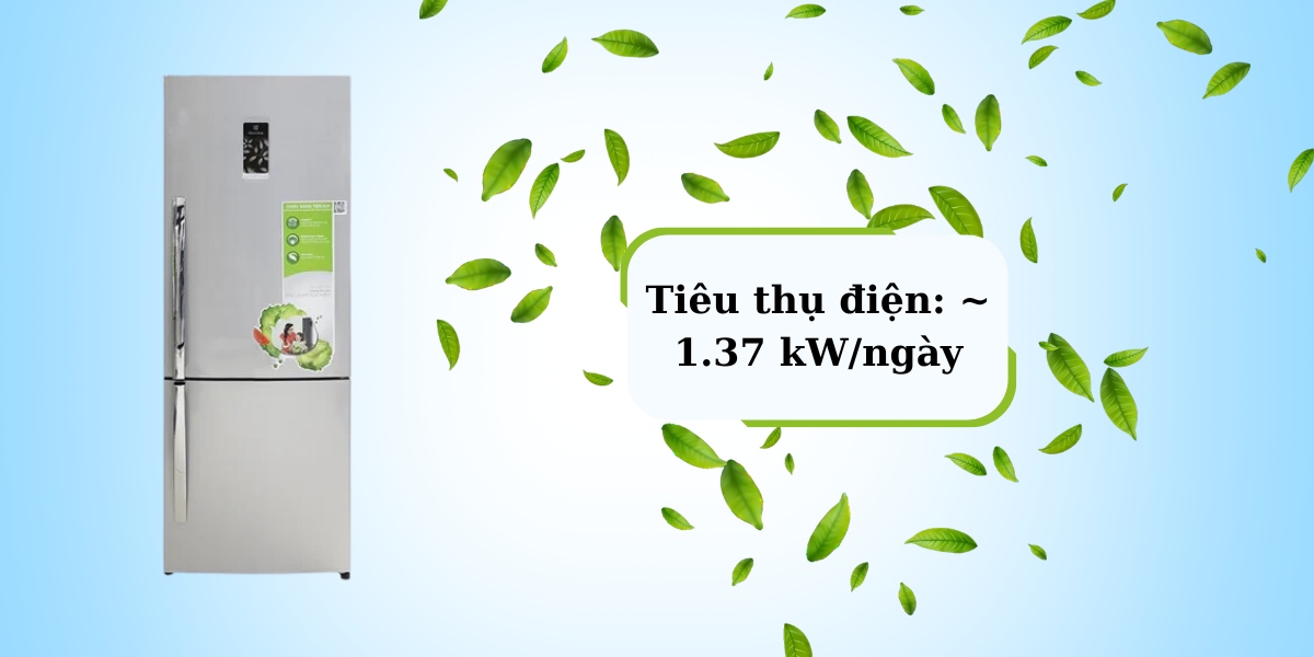 Tủ lạnh tiêu thụ điện ~ 1.37 kW/ngày