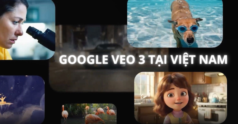 Triển khai Veo 3 tại Việt Nam