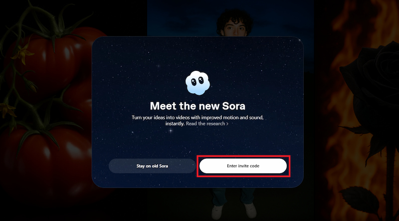 Enter invite code Sora 2