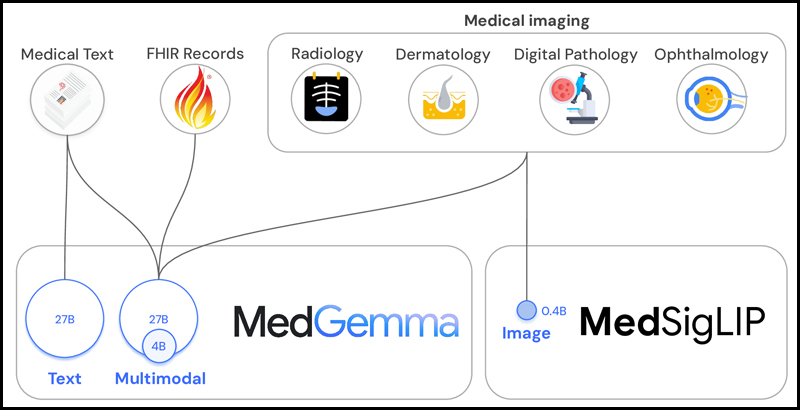 MedGemma và MedSigLIP là mô hình AI y tế của Google DeepMind