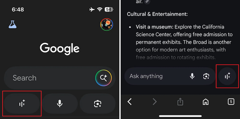 Search Live là gì