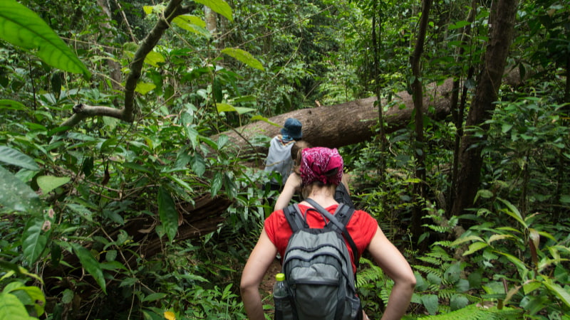 Hoạt động trekking xuyên rừng 