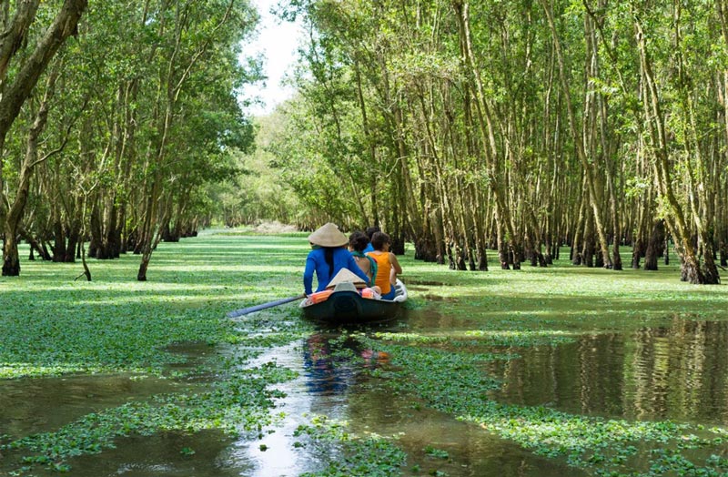 Rừng tràm Trà Sư