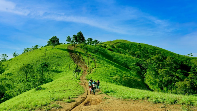 Địa điểm Trekking đẹp tại Việt Nam