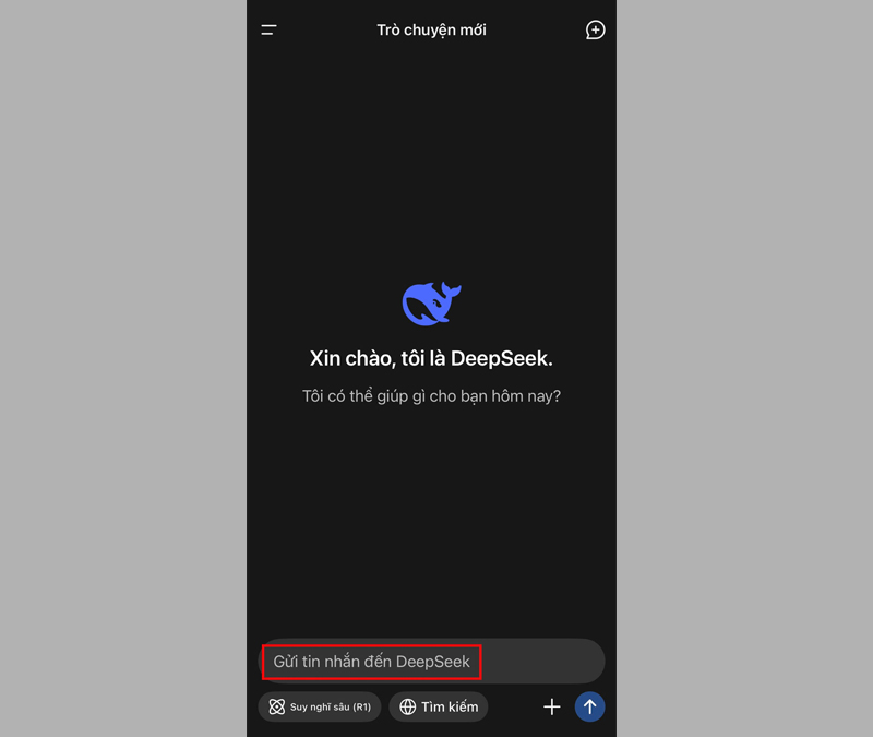 Nhập câu hỏi hoặc yêu cầu vào khung chat để trò chuyện với DeepSeek AI