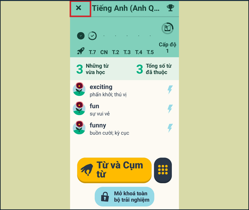Chọn Từ và cụm từ để tiếp tục học, nhấn X để về màn hình chính 