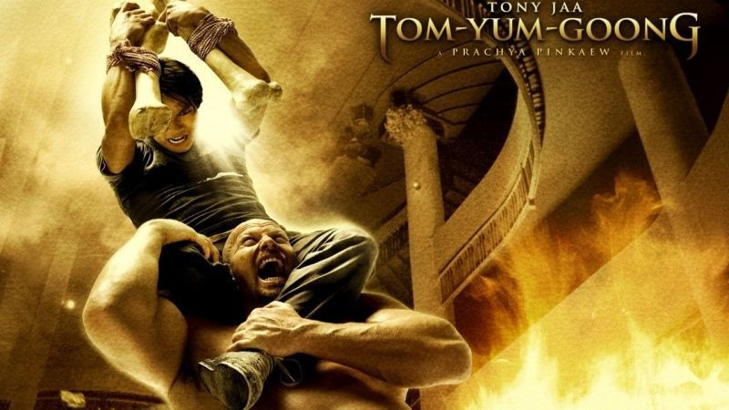 Phim Người bảo vệ được phát hành năm 2005