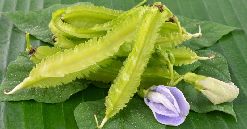 Ăn đậu rồng để bổ sung Canxi