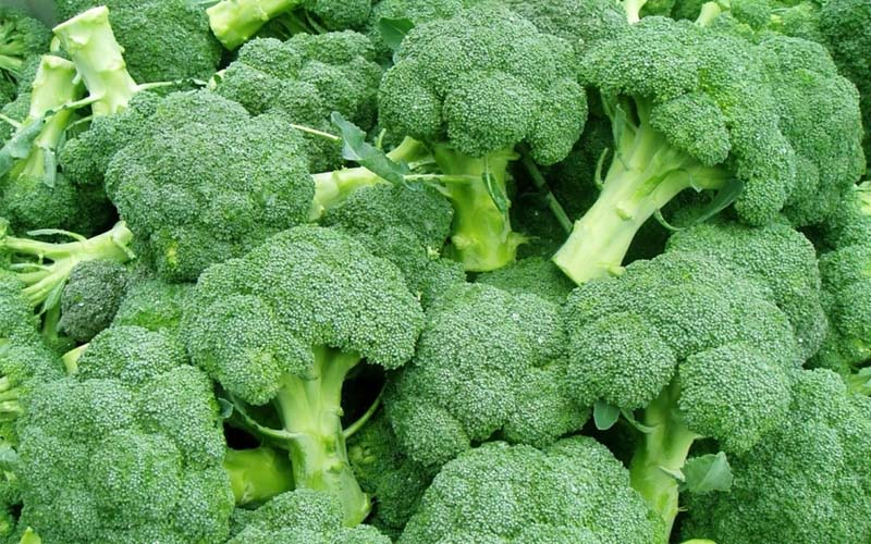 Bông cải xanh chứa lượng vitamin C dồi dào