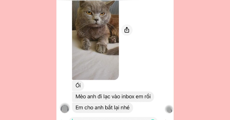 Dẫn chuyện từ những tình huống xung quanh để bắt chuyện với crush