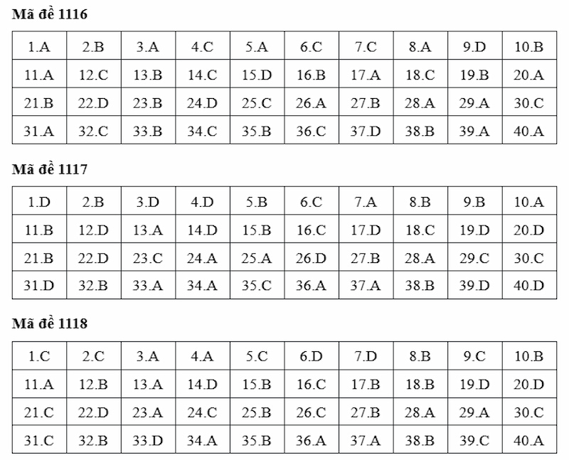Đáp án tiếng Anh 1116 - 1118