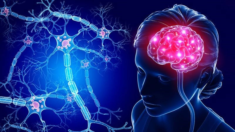 Đọc sách cải thiện trí nhớ và phòng ngừa lão hóa não bộ 