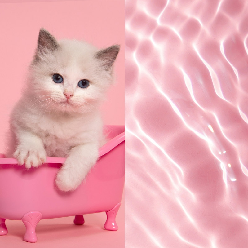 Hình nền cute màu hồng giúp khơi dậy cảm xúc tích cực 
