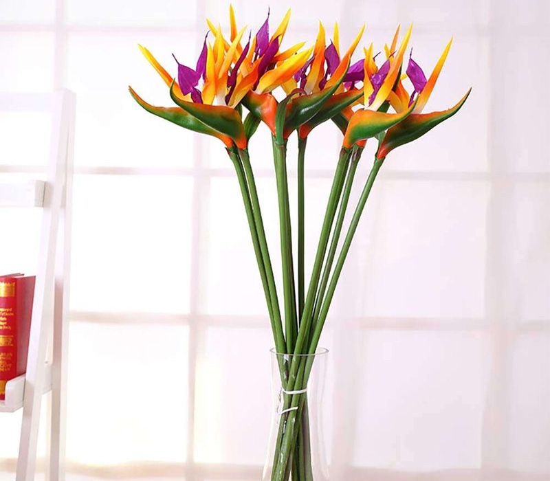Hoa thiên điểu hay còn gọi là hoa chim thiên đường