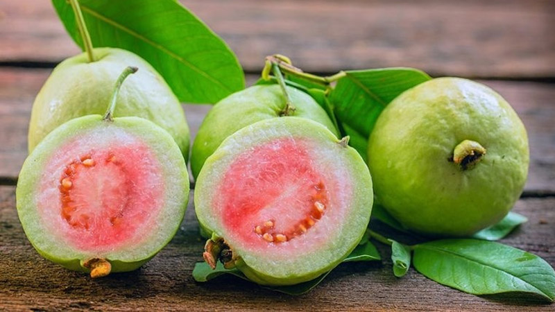 Không nên ăn ổi quá nhiều để tránh rối loạn tiêu hóa