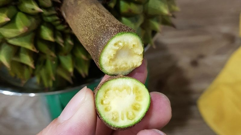 Mẹo kiểm tra cuống sầu riêng
