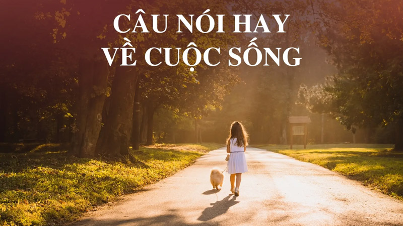Những câu nói hay về đối nhân xử thế dành cho bạn