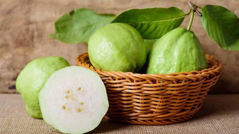 Ổi là nguồn cung cấp vitamin A cho cơ thể