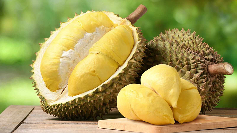 Quan sát hình dáng quả sầu riêng