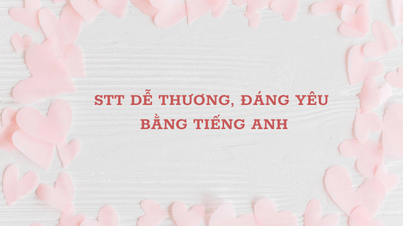 STT dễ thương bằng tiếng anh