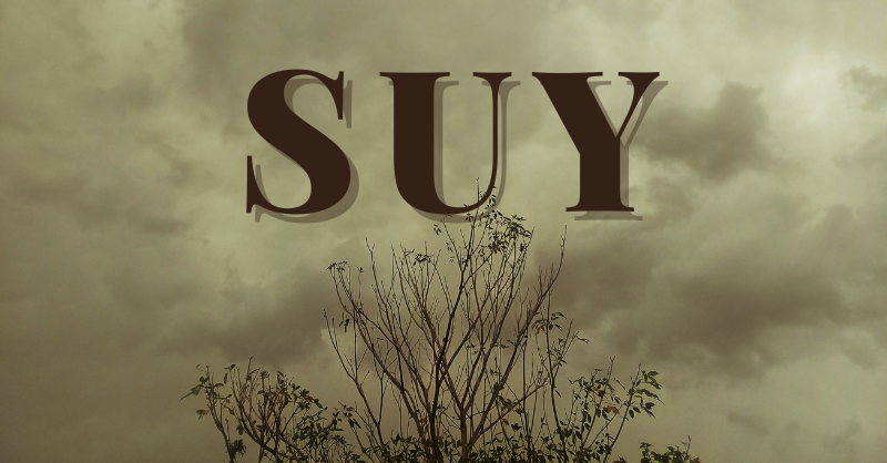 Từ “suy” là gì?