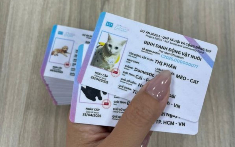 Đăng ký thẻ định danh thú cưng mang lại nhiều lợi ích thiết thực