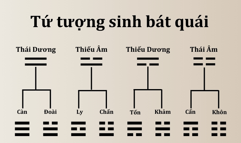 Tứ tượng hình thành Bát quái 