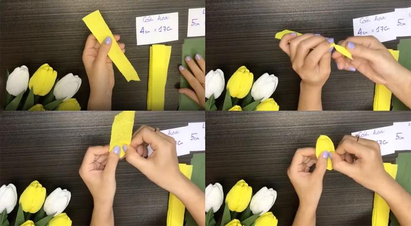 Làm cánh hoa tulip bằng cách xoắn đoạn giấy nhún