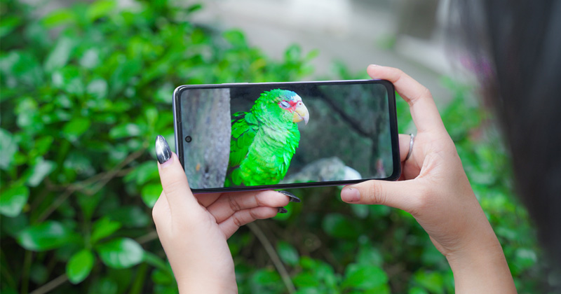 OPPO A5i có màn hình HD+ 6.67 inch