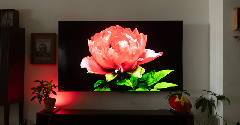 TCL C8K mang đến khả năng hiển thị hình ảnh rõ nét vượt trội