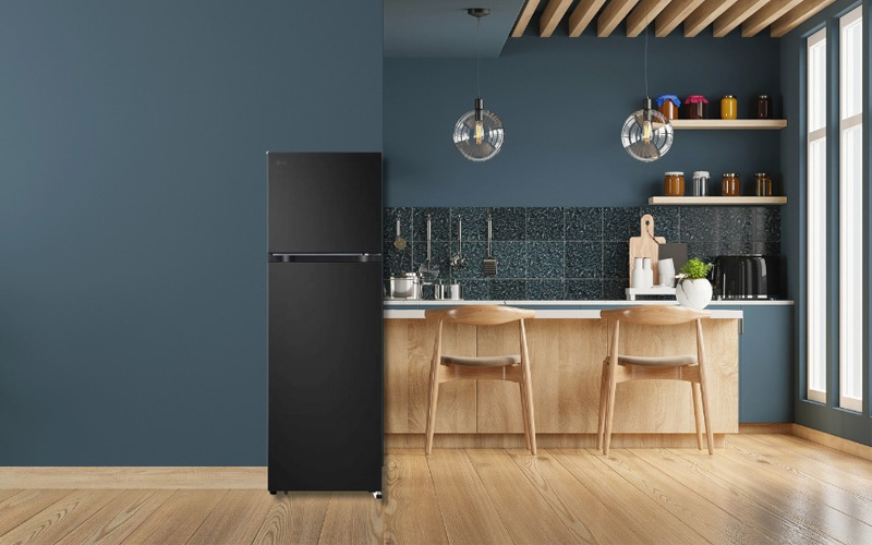 Tủ Lạnh LG Inverter 266 Lít LTB26BLM 