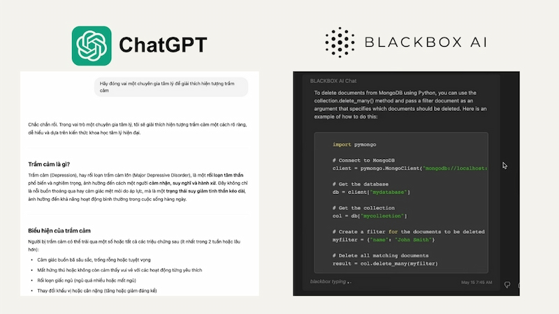 Mục đích sử dụng ChatGPT và Blackbox AI