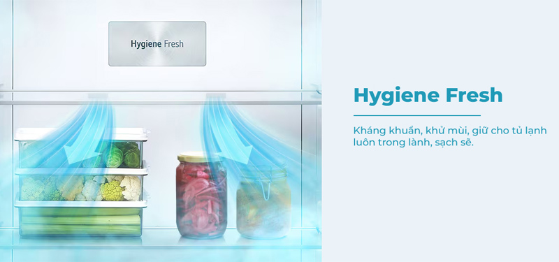 Công nghệ Hygiene Fresh+ trên tủ lạnh LG loại bỏ 99.9% vi khuẩn