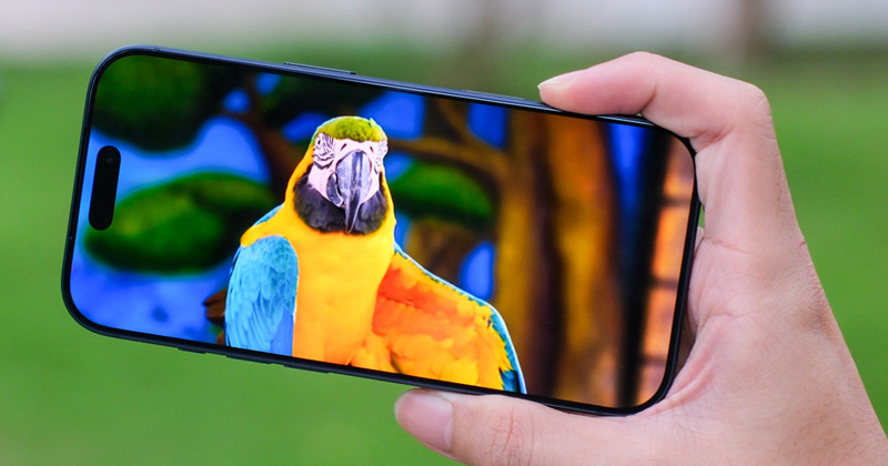 iPhone 17 và iPhone 17 Pro có thông số màn hình tương tự nhau