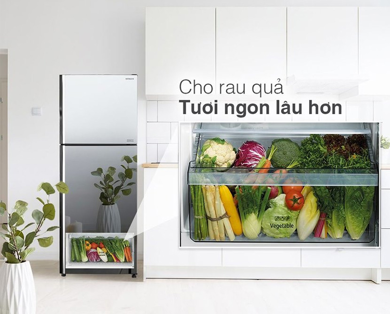 Ngăn rau quả Aero - care giữ rau củ tươi lâu