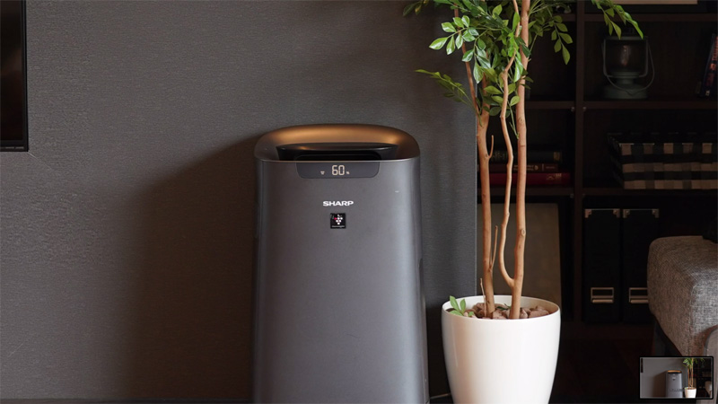 Máy lọc không khí Sharp được yêu thích nhờ công nghệ độc quyền