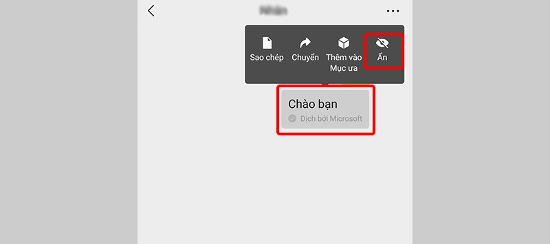 Nhấn giữ lại đoạn tin nhắn đã dịch và đoạn Ẩn 