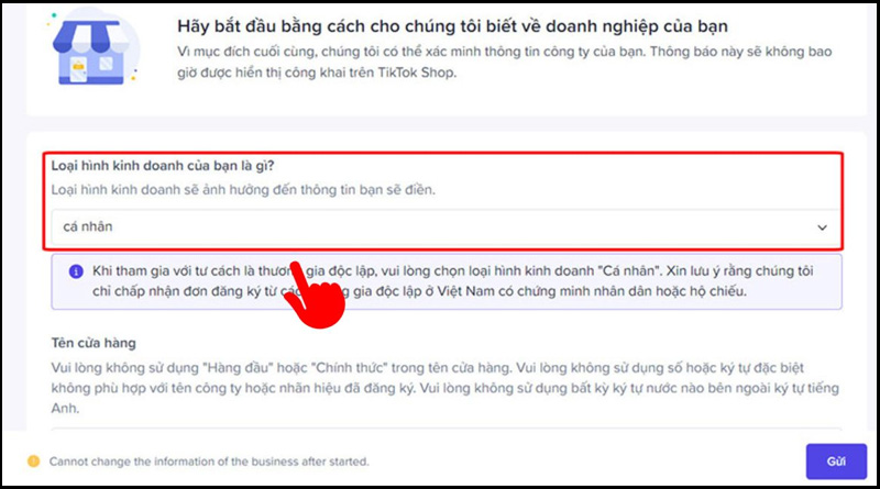 Chọn Cá nhân hoặc Công ty và cung cấp thông tin
