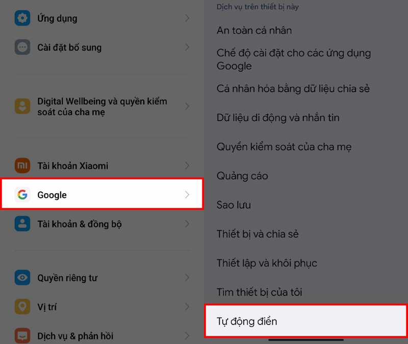 Nhấn vào mục Google, sau đó chọn Tự động điền 