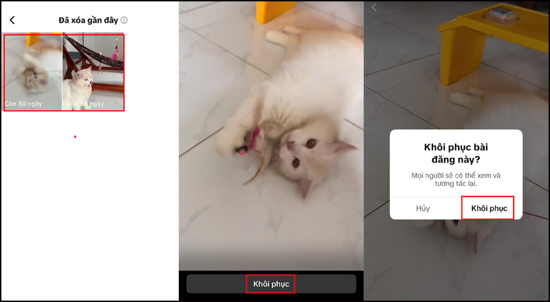 Khôi phục video đã xóa 